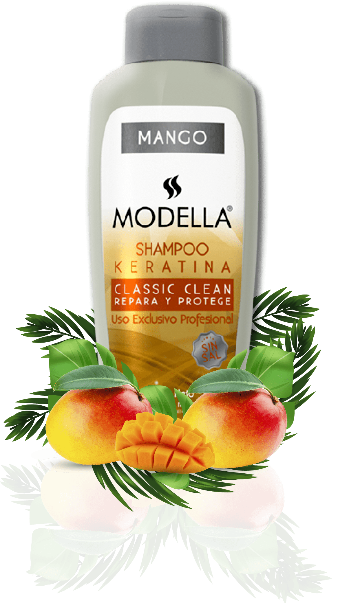 imagen-modella-shampoo-mango-keratina-sin-sal-repara-protege-responsive
